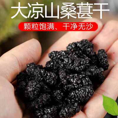 桑葚干黑桑椹 大凉山德昌黑桑葚桑葚干2024新货半野生黑桑椹干果