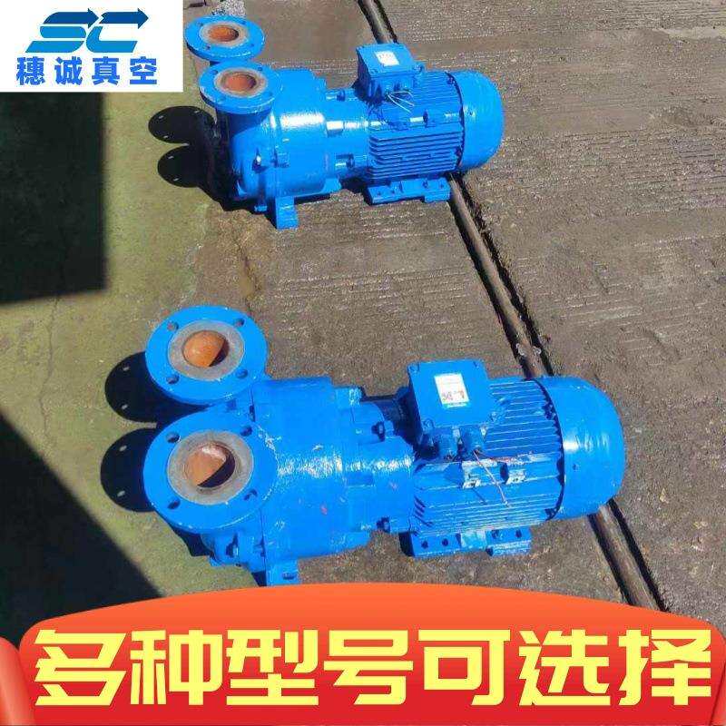 2BV5121工业电动真空抽气泵 不锈钢防爆水环式抽空泵 穗诚