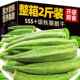 秋葵脆秋葵干官方旗舰综合蔬菜干果蔬脆水果干孕妇儿童休闲小零食