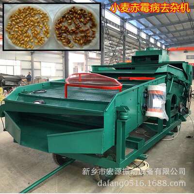 小麦捂籽 霉变粒清理机 大型振动比重筛 风选除尘 净度98% 视频