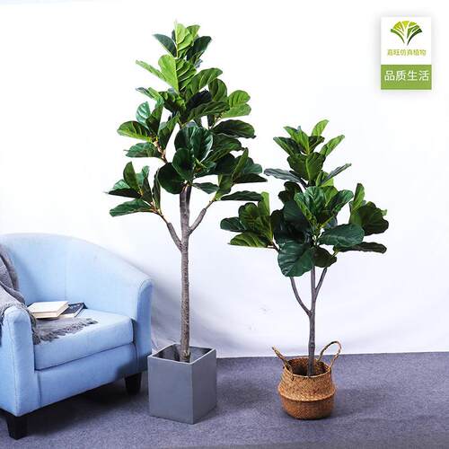 北欧风仿真琴叶榕室内假树盆景大型落地绿植客厅装饰植物摆件盆栽