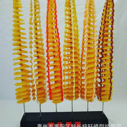 仿真薯塔模型薯条模型旋风土豆脆皮玉米模具香龙卷风薯塔模具