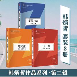 书籍正版 山寨：中国式解构：Dekonstruktion Auf Chinesisch 韩炳哲 中信出版集团股份有限公司 艺术 9787521748673