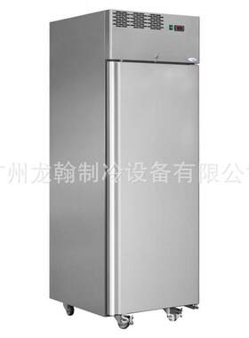 广州厂家 不锈钢冷冻柜 立式冷柜 冷藏柜 水果蔬菜保鲜柜