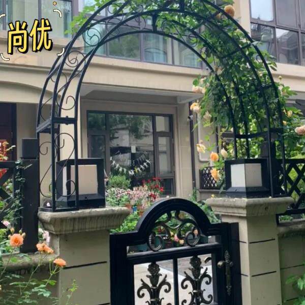 欧式铁艺拱门花架爬藤架户外花园庭院门头半圆拱形门月季花架定制图片