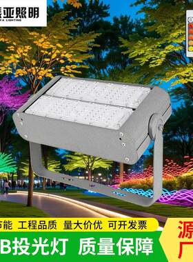 led彩色RGB投光灯户外防水花园绿化灯照树景观射灯庭院射树灯