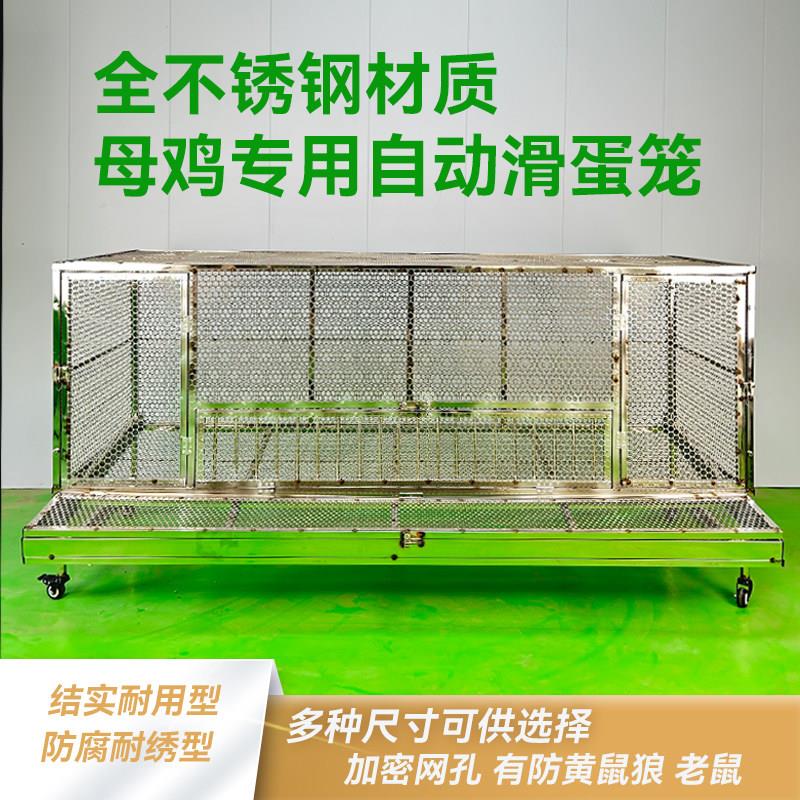 蛋鸡笼自动收蛋养殖笼探头吃食笼整体不锈钢材质加密圆孔防黄鼠狼