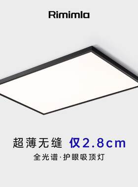 极简超薄厨房吸顶灯明装平板灯led智能语音长方形300600书房灯具