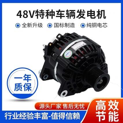 48V 56V房车 广告车 冷藏车 广宣车 割草机 游乐园车大功率发电机