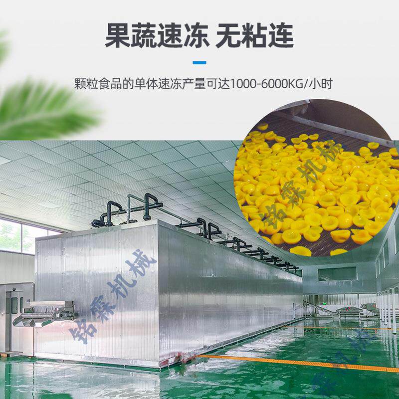 商用连续式流态化速冻机玉米粒毛豆仁青豌豆草莓芒果流态化速冻机