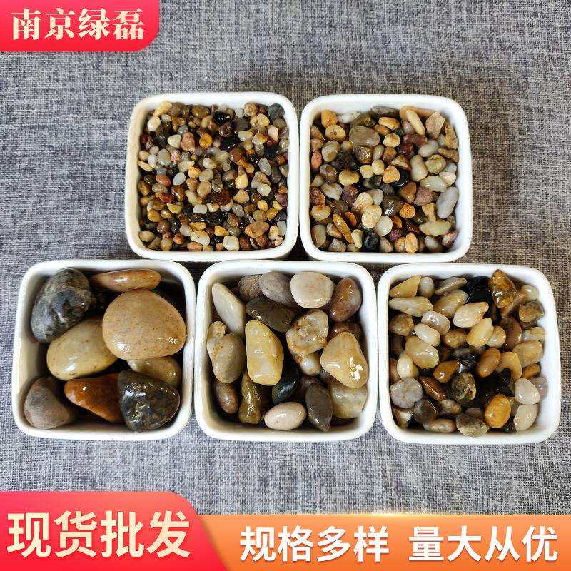 滤料豆石 厂家污水处理水过滤地暖小石头 盆栽铺面回填石子