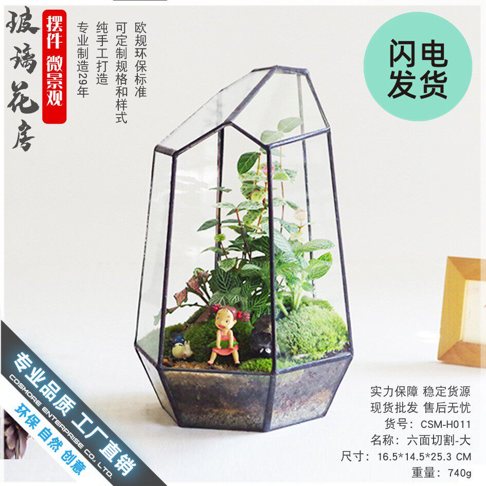 苔藓 玻璃花房 微景观生态瓶盆罩 创意礼品物植物 六面切割大