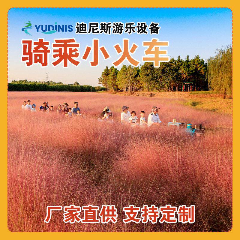 轨道小火车电动观光骑乘复古小火车厂家直供公园有轨小火车
