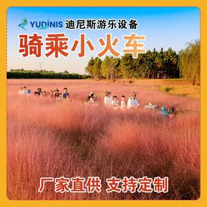 轨道小火车电动观光骑乘复古小火车厂家直供公园有轨小火车
