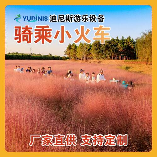 轨道小火车电动观光骑乘复古小火车厂家直供公园有轨小火车