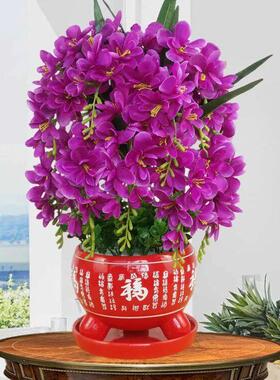 人造花蝴蝶兰花雪兰花集家庭客厅电视柜假花婚礼新房装饰花饰品