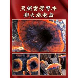 天然雷击木枣木桃木乾坤圈阴阳环镯紫薇讳木雕手把件张至顺黄中宫