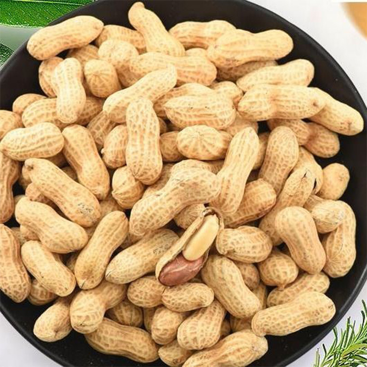 贵子桂子红枣花生桂圆新鲜花生