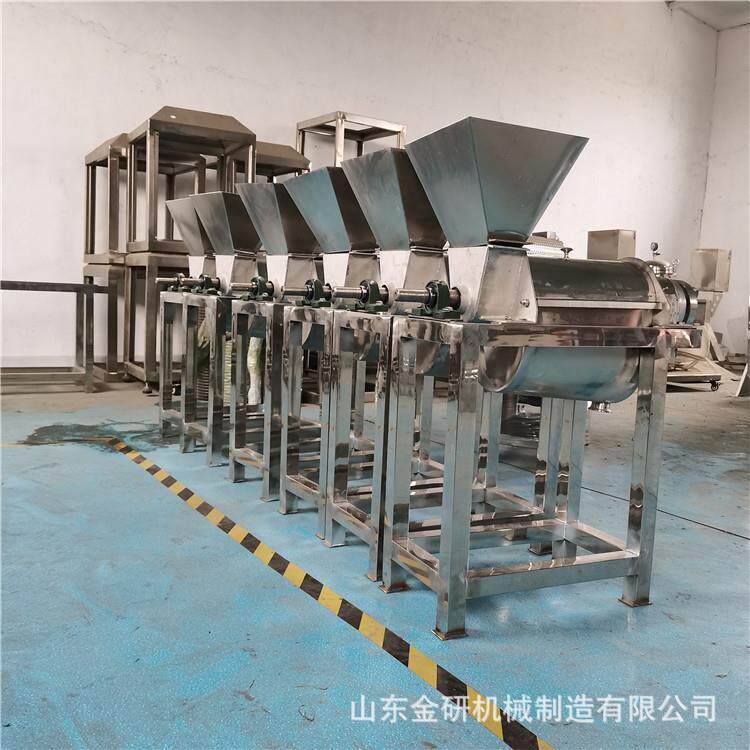 大型水果榨汁机 工业果蔬生姜螺旋打汁机 油甘果去核打浆机