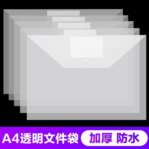 Simple and Transparent A4 Plastic File Folder, Student Stati