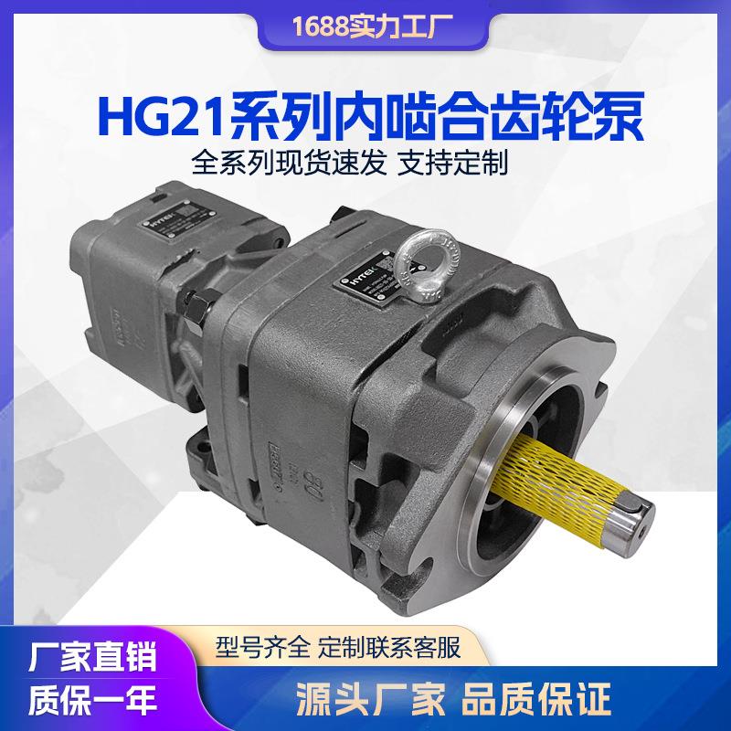 液压泵 海特克内啮合齿轮泵HG21-80-50-01R-VPC-D-36-1电机伺服泵