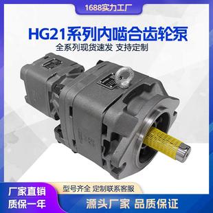 01R VPC 液压泵 1电机伺服泵 海特克内啮合齿轮泵HG21