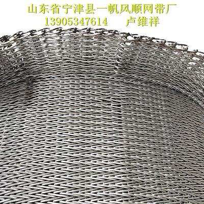 人字形温退火炉网带 淬火炉网链 304烘干机网链 厂家直销