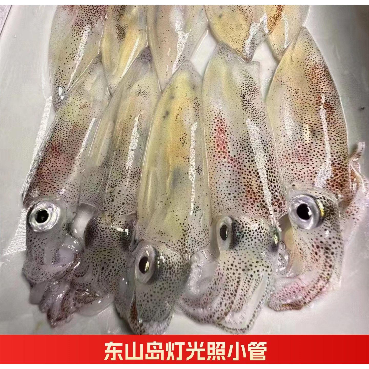 东山岛本港小管灯光照捕捞小鱿鱼 冷冻水产品 笔管海鲜活冻海兔子