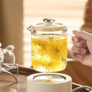 高硼硅0.6L玻璃壶迷你养生壶可加热办公室小型养生杯山本壶配件