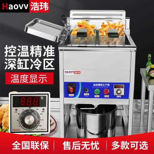 浩玮电热大容量立式油炸锅炸鸡排机器双缸恒温油条机炸串机电炸炉