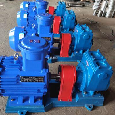 厂家直销 80YPB-60叶片式滑片泵 汽柴油泵 车载式叶片泵 规格全