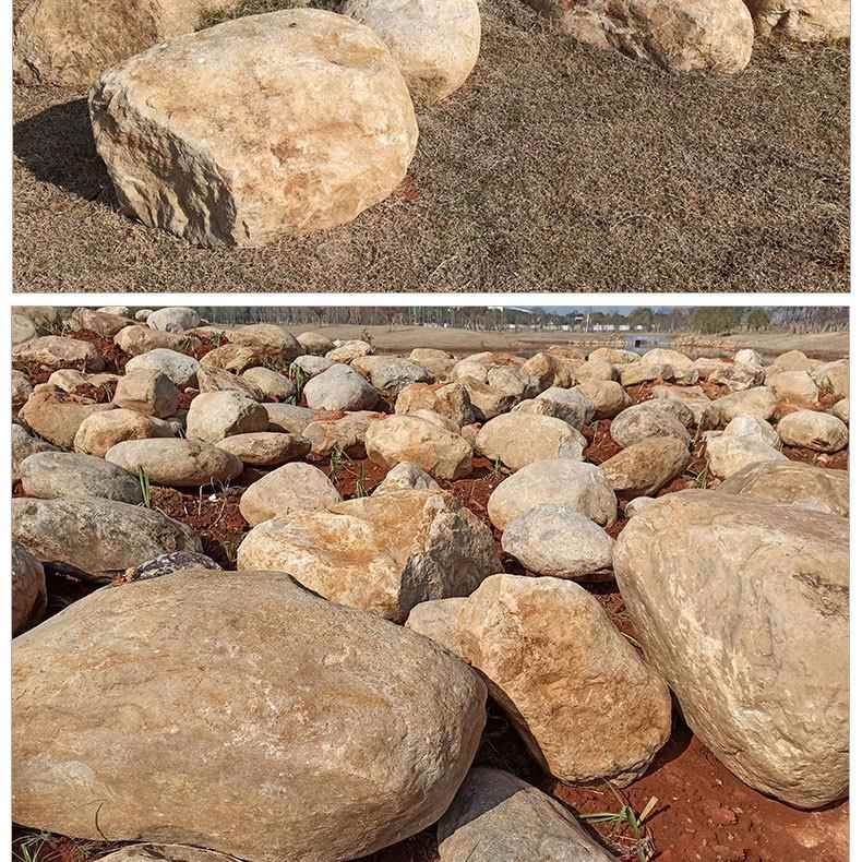 大小景景观溪石河草坪造景石头DNS河边风鹅软石绿地摆型件石头