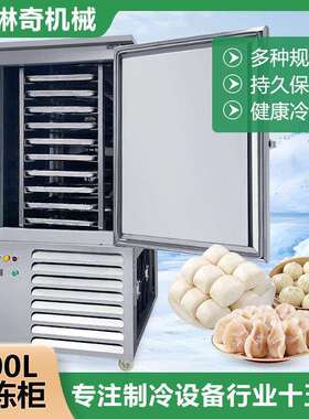 厂家直销现货300L11盘海参海产用速冻机包子水饺低温速冻柜直销