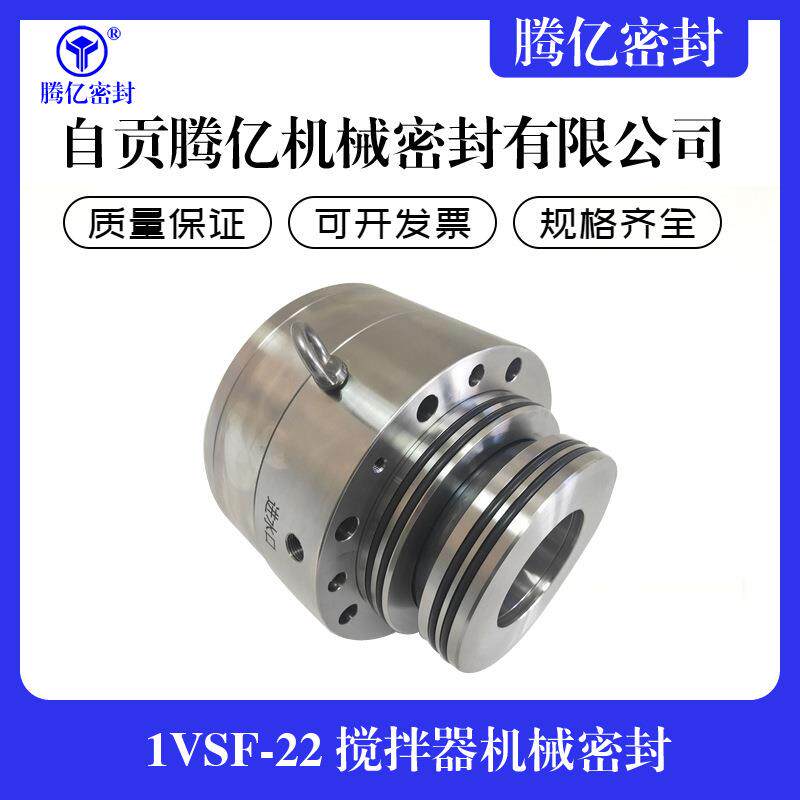 1VSF-22搅拌器机械密封吸收塔脱硫搅拌器机械密封机械密封件