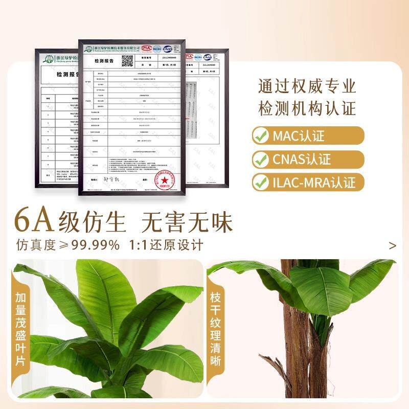 型真内植物盆栽客厅摆件落地绿植56028062大叶大子芭蕉树室造景仿