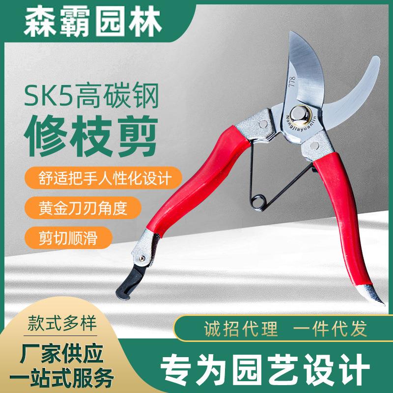 剪树枝专用剪刀园艺修枝剪刀果树修枝花艺高枝剪树木枝条剪刀出口