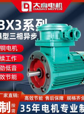 立卧式YBX3隔爆型IICT4/粉尘防爆三相异步电动机多种规格电机