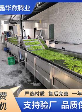 毛豆荚 豌豆粒速冻加工大型冷冻设备玉米粒 西蓝花预处理加工设备