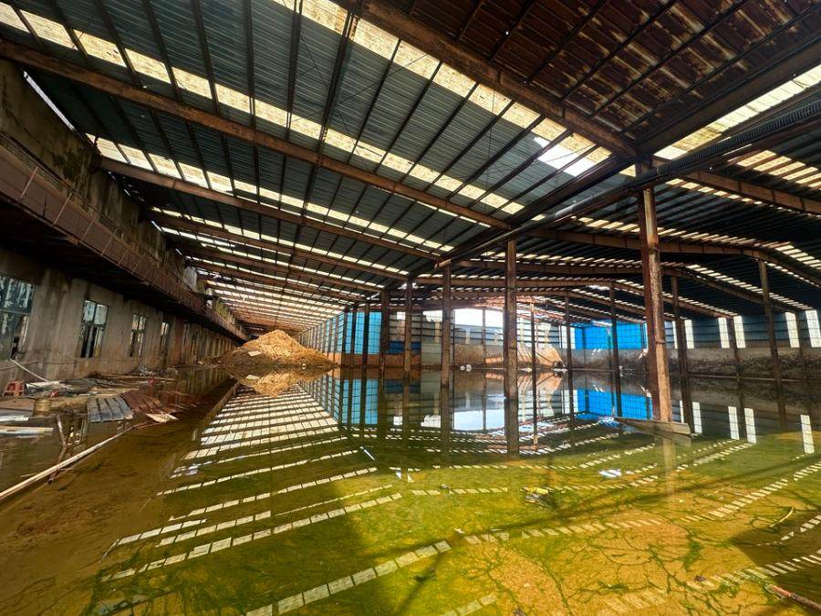 1月11日泰州再生资源公司工业房地产、构筑物、机器设备等资产网络拍卖公告