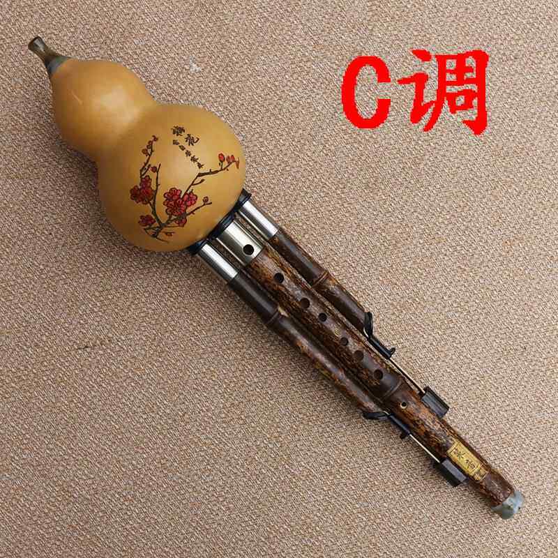 正品九孔葫芦丝紫G竹七精制演奏可转孔宽音域乐器F降BC调音高音易