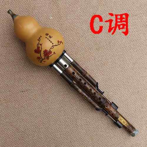 正品九孔葫芦丝紫G竹七精制演奏可转孔宽音域乐器F降BC调音高音易