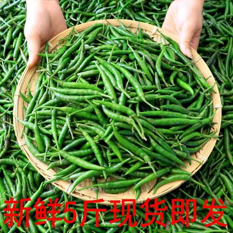 5斤包邮青红小米辣椒青尖椒青小米椒新鲜朝天椒绿色生辣椒现货