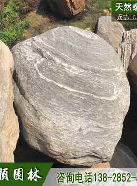 广TSS-008东园丨林景泰观石丨假山驳鱼岸池景石山石花纹石