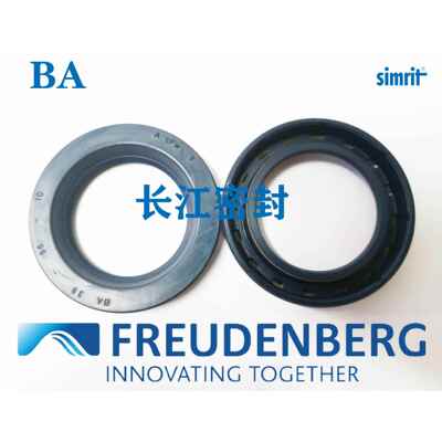 SIMEbaRRINGBA86I-11M0-13CFW145-175-唇15德国进口单口DN3760A