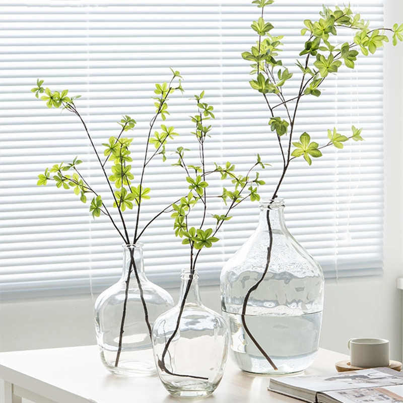 包邮北欧简约大肚玻璃花瓶日本吊钟马醉木插花瓶水培绿植花包装瓶,厨房/烹饪用具,泡酒瓶,淘宝优惠券,粉丝福利购,淘宝优惠卷