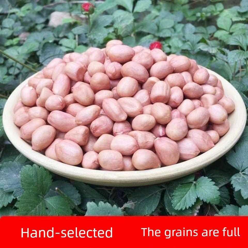 红油米皮正宗粉皮花生米新货农家精选无壳粉红白沙花生自产长粒花图片