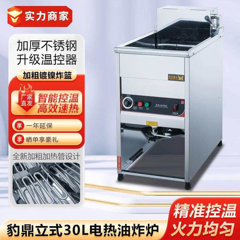 豹鼎立式电炸炉20L30L商用油炸炉双缸电炸锅油炸机炸薯条炸鸡排炉