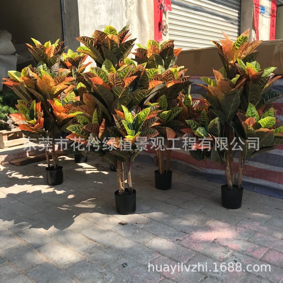 仿真变色木盆栽七星叶植物墙配材七彩叶过胶大变色木叶洒金榕绿植