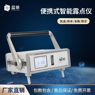 便携式氧量分析仪电化学氧含量检测仪混合气体微量氧高纯氧测试仪