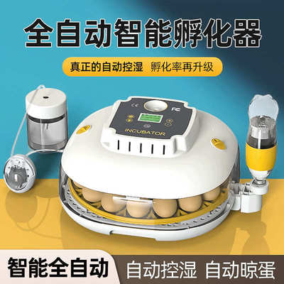 器小型鸡蛋孵蛋专供鸟蛋碟全自动孵化器家用小飞跨境直营厂家小鸡